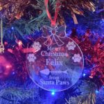 Santa Paws