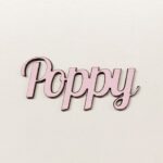Personalised wooden name sign Lob