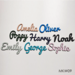 Personalised wooden name sign - Font 9